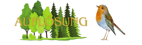 Auflösung