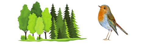 Wald mit Rotkehlchen