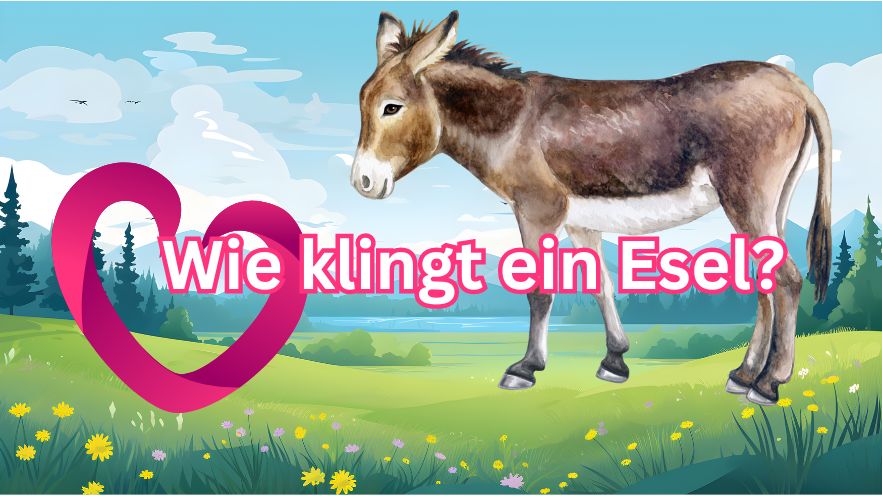 Esel in Landschaft