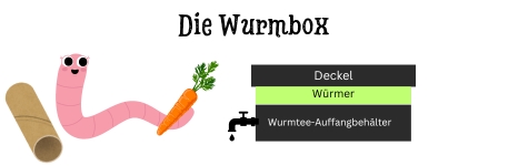 Wurmbox